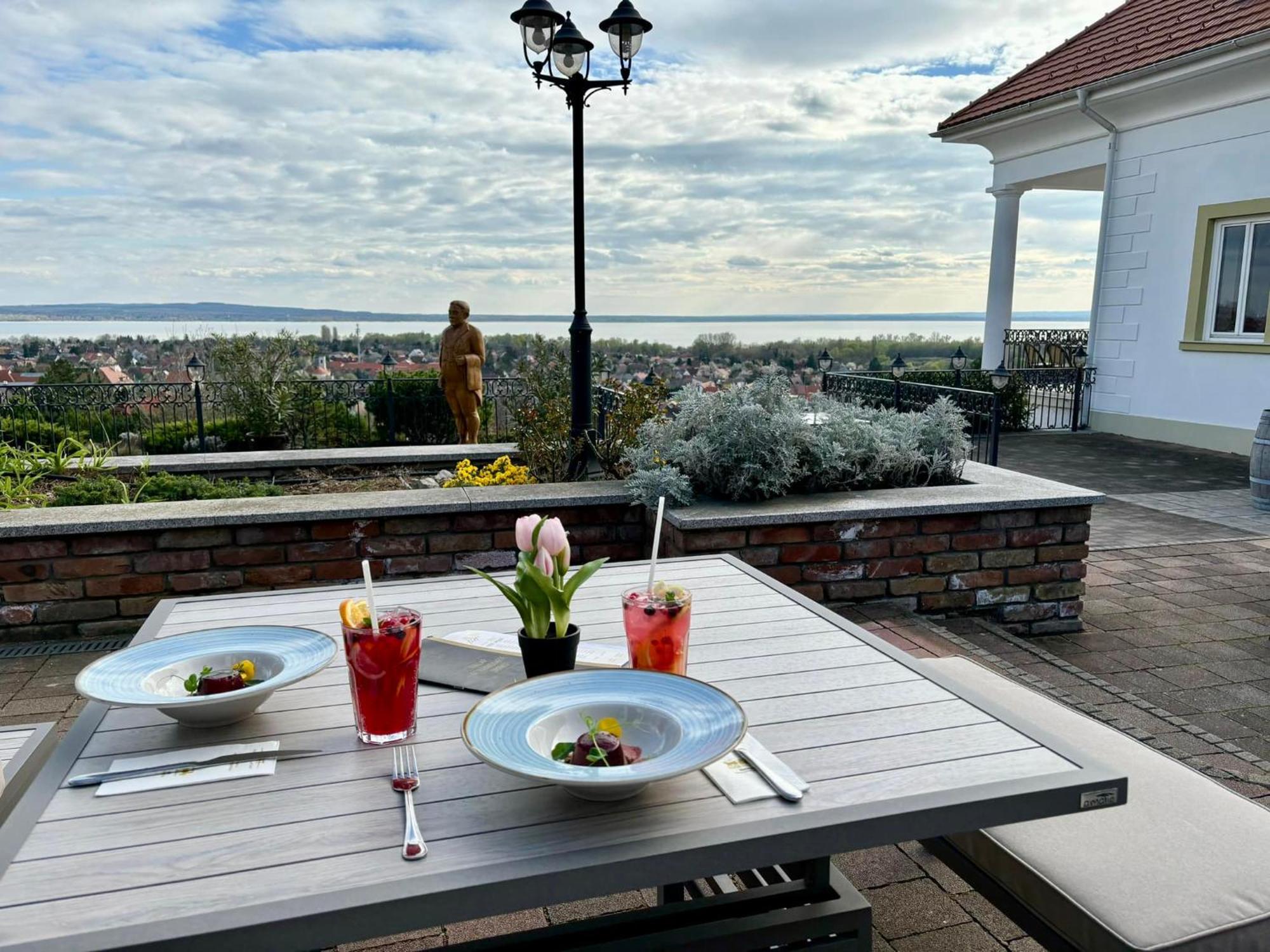 Zenit Wellness Hotel Balaton Вонярцвашхедь Экстерьер фото