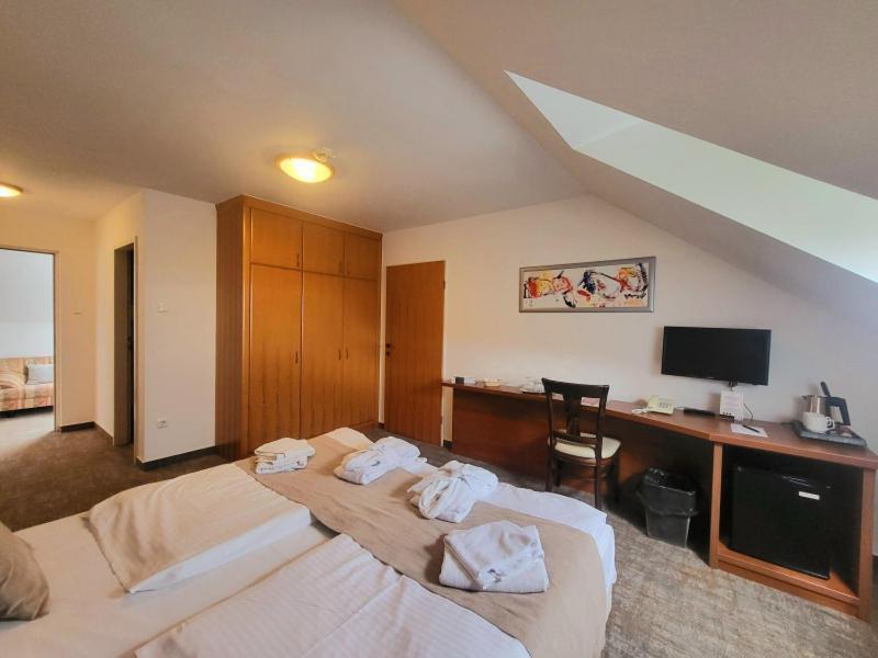 Zenit Wellness Hotel Balaton Вонярцвашхедь Экстерьер фото