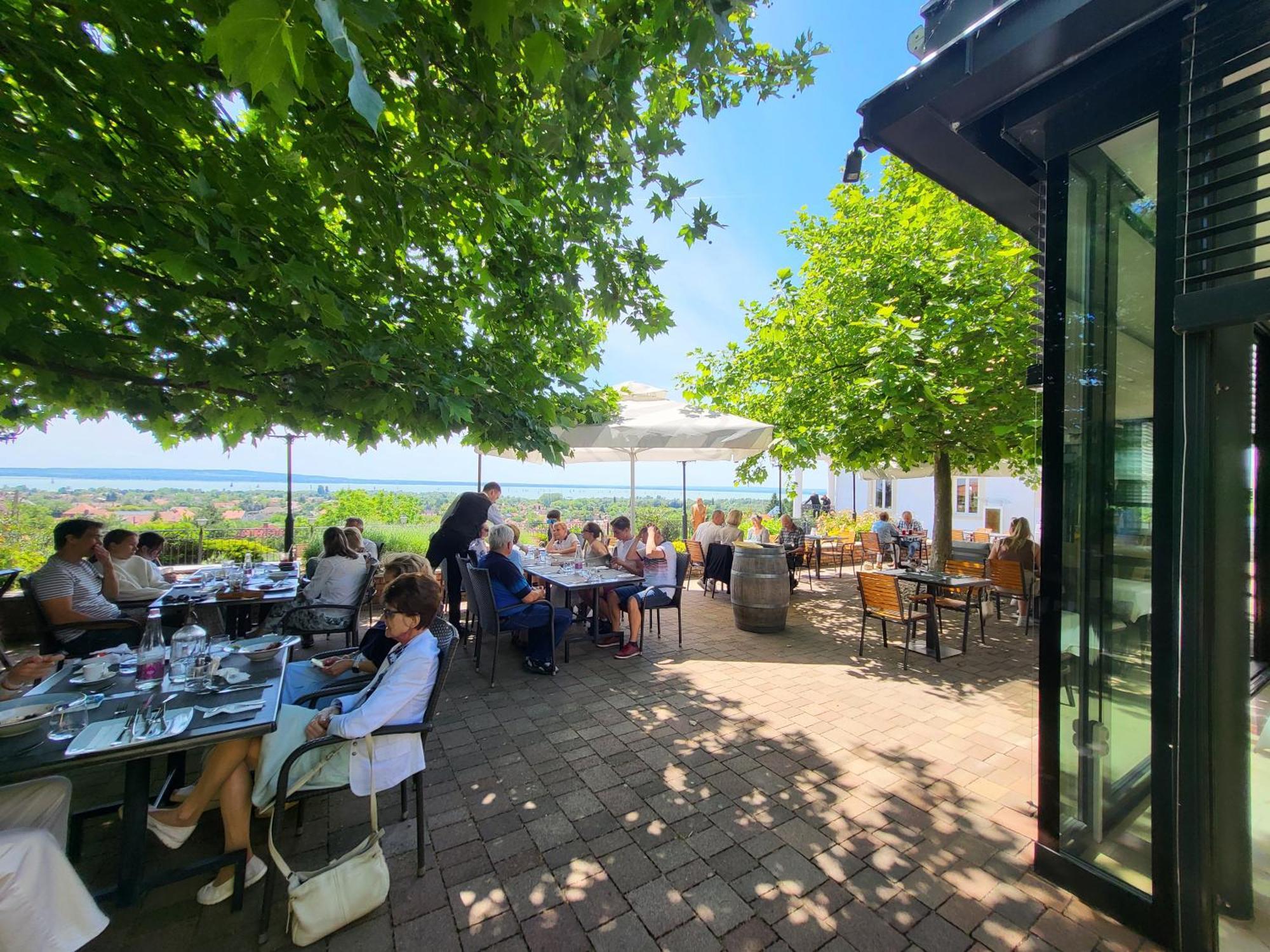 Zenit Wellness Hotel Balaton Вонярцвашхедь Экстерьер фото