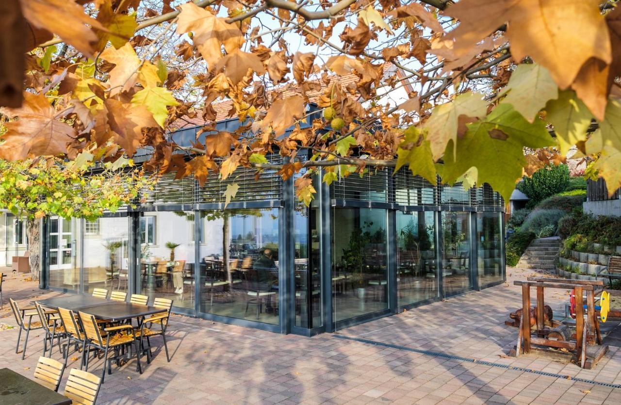 Zenit Wellness Hotel Balaton Вонярцвашхедь Экстерьер фото